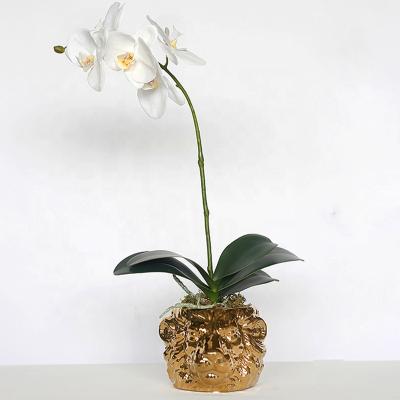 China Animal Silk Lion Head Shape Faux White Decorative Gold Silk Fabric+Latex Potted Butterfly Orchid In Artificial Vase Latex Phalaenopsis Pots Decor for sale