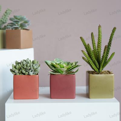 China Wholesale Modern Mini Succulent Square Shape Small Creative Indoor Cactus Plant Flower Pots Ceramic Succulent Planters for sale