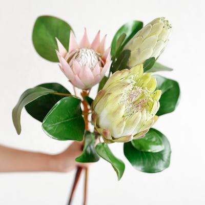 China Single Stem Flower Queen Protea Cynaroides Bouquet Wedding Decor Artificial Silk Flowers Cream King Protea For Home Decoration for sale