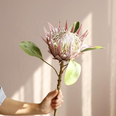 China Home Decor 1 Stem Kitchen Flower Arrangements Single Stem Silk King Protea Real Touch Artificial Flowers For Wedding Bouquet for sale