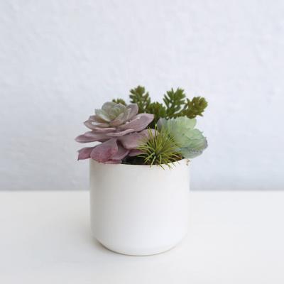 China Wholesale Home Decoration/Hotel Decoration Fake Succulent Arrangements For Home Decoration Assorted Mini Artificial Succulent Plants Live With Pot for sale