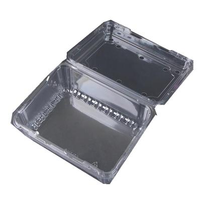 China Customized Size Strawberry Tray Egg Packing Plastic Food Packing Tray Packaging for sale