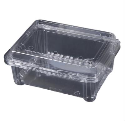 China Ready Food in Ship Fruit Tray Food Packaging Egg Packing Custom Size Plastic Tray for sale