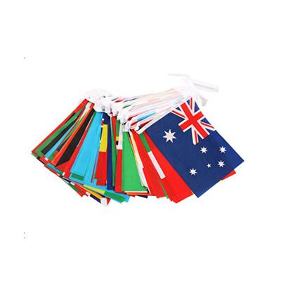 China Small FLYING country flags flapping string flags for events international conference for sale