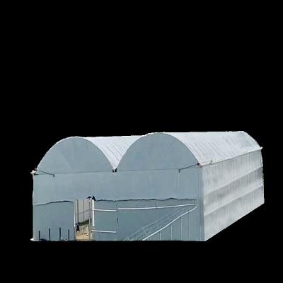 China High Strength Low Cost Professional Agricultural Greenhouses 30x100 Light Deprivation Blackout Greenhouses For Outdoor for sale