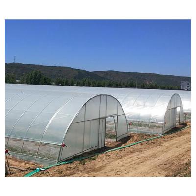 China Fruit Flowers Ariel Single Span Agricultural Vegetables Tunnel Vegetable Greenhouse For Sale for sale