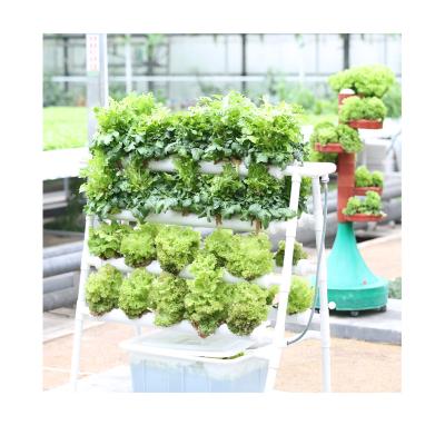 China Multi-span High Strength Chinese Agricultural Greenhouses Hydroponic Gutter Greenhouse For Plant Vegetable for sale