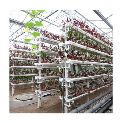 China Stable Structure Easily Assembled Practical Permeable Strawberry Customized Wholesale Size Culture Hydroponics China Supplier for sale