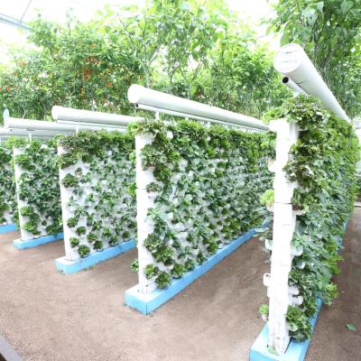 China Vegetable Hydroponics System Greenhouse Cheap Agricultural Made In China for sale