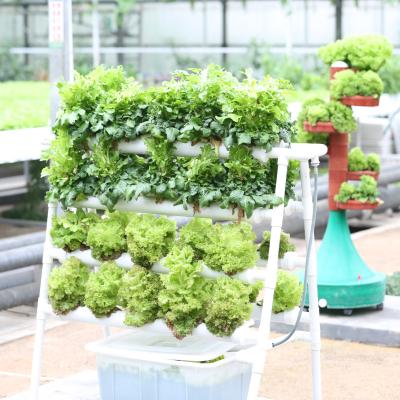 China High Quality High Strength Leaf Hydroponic Large Size Intelligent Greenhouse Plastic Greenhouse Permeable Cultivation for sale