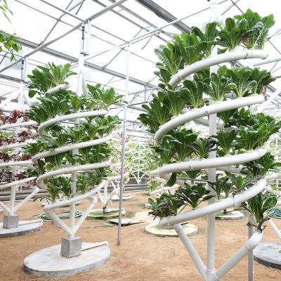 China 2022 Hydroponic High Strength Efficient And Professional Customizable Spiral Crops Grow Systems for sale