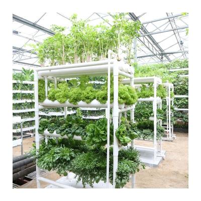 China PE Good Quality Hydroponic Growing Systems Greenhouse Hydroponics for sale