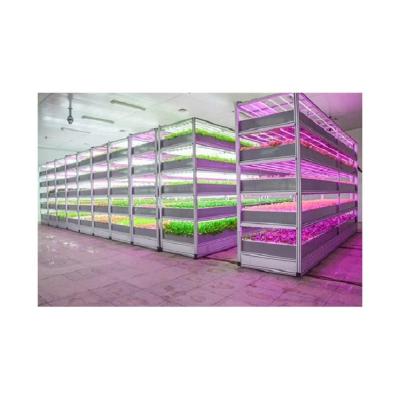 China Manufacturers High Strength Delivery Made In China Marine Vegetable Cultivation Box Vertical Hydroponic Growing Systems Feed Hydroponic System for sale