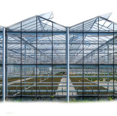 China Custom Size Agriculture Ariel Flowers Fruit Hydroponic Glass Greenhouse For Sale for sale