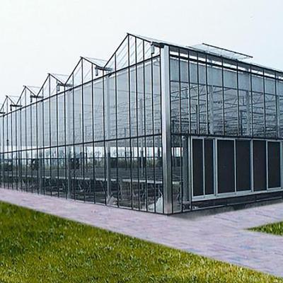 China High Strength Hydroponic Commercial Multispan Equipment Greenhouses Multispan Vegetable Agriculture Panels Glass Greenhouse Vegetable For Greenhouse for sale