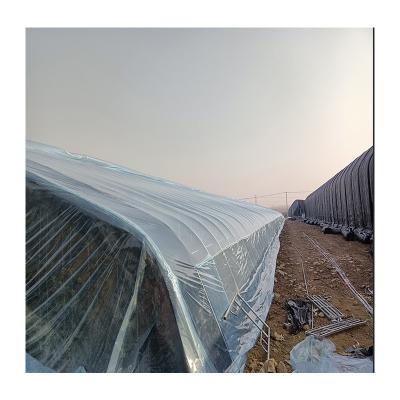 China Poly Ariel Vegetable Agriculture Flower Fruit Tunnel Greenhouse The Economical Popular Cheapest For Sale for sale