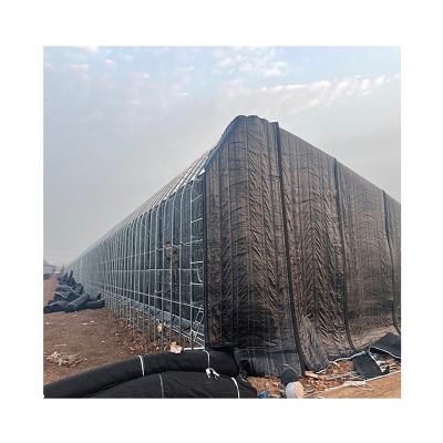 China Ariel The Agricultural Commercial Popular Poly Vegetable Agriculture Flower Fruit Tunnel Greenhouse For Sale for sale