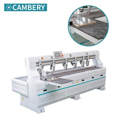 China Panel Side Boring Woodworking CNC Drilling Machine Motion Control System Multi Axis Drilling Machine for sale