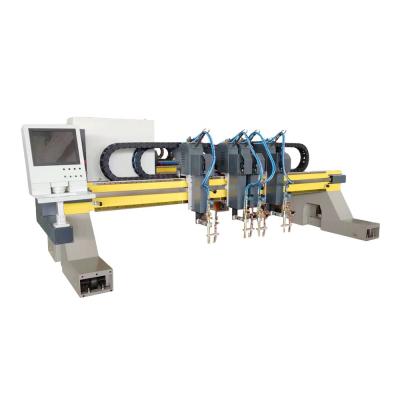 China Building Material Shops High Quality 8040 Gantry Type CNC Plasma Cutting Machine With Huayuan LGK-200IGBT Power Source for sale