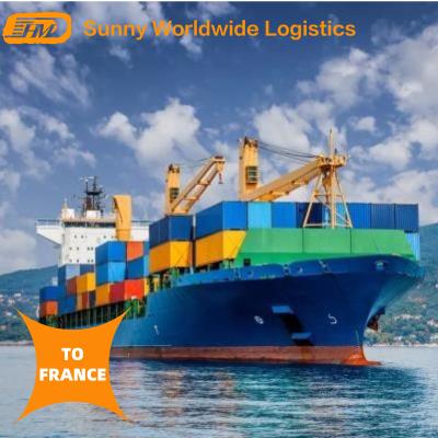 China professional international sea freight forwarder suppliers swwls china shipping agent from china to france HMD for sale