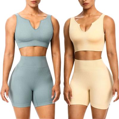 China Breathable High Quality Women's Seamless Fitness Workout Sets Shorts Casual Yoga Two Piece Sets Sports Wear Sleeveless Ribbed Suits Yoga Set for sale