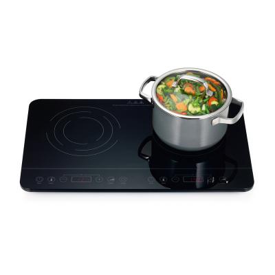 China Fast Heating 2022 Body 10 Temperature 3500W-Multiple Power Dual Power Induction Cooktop Ultrathin Induction Cooker for sale