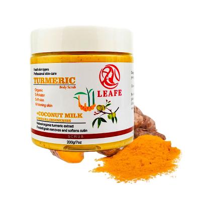 China Organic Private Label Turmeric Exfoliator Powder Body Facial Care Scrub Sets Anti Aging Women Lip Scrub for sale