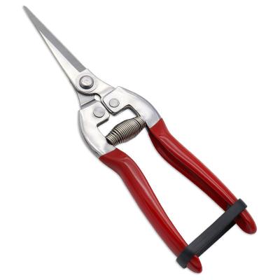 China Multi-Purpose Cutting stainless steel garden bonsai serrated hand red fruit Pruners Secateurs harvest scissors for sale