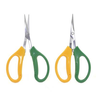 China Anti-Slip Grip Factory stainless steel garden curved secateurs fruit grape picking pruning scissors for sale