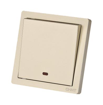 China Chint Electric DP Wall Switch 20A 250V Electric Wall Switch Eu Socket Wall Home for sale