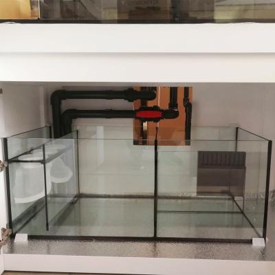 China Viable custom cheap glass sump with acrylic plate of reef saltwater aquarium rimless tank for sale