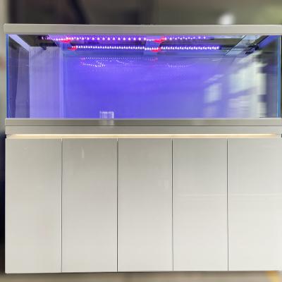 China 2021 New Arrival 2100*600*760mm Sustainable Glass Aquarium With Wooden Cabinet And Filter System for sale