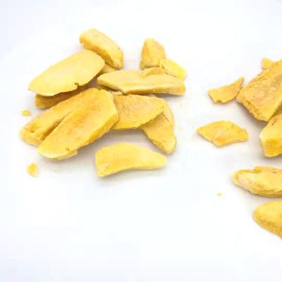 China Crispy TTN Freeze Dried Fruit Price Pineapple Freeze Dried Mango Fruit for sale