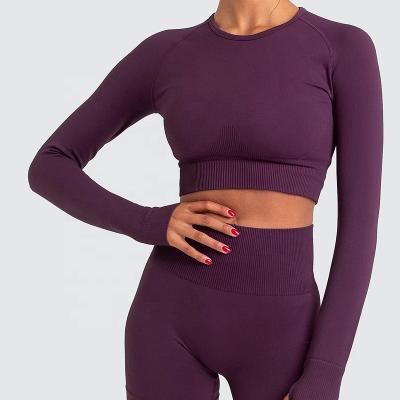 China Hot Selling Gym Woman Fitness Yoga Top Wear High Quality Multiple Colors SPORT CAMIE Breathable New Long Sleeves for sale