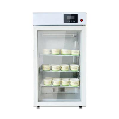 China Intelligent temperature control Intelligent temperature control Bacteria yogurt fermenting room topping refrigerator fermenter yogurt for sale