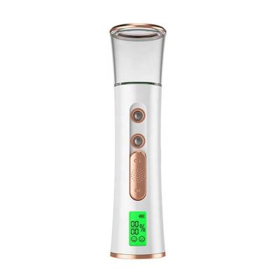 China Custom Portable Skin Care Beauty Moisturizer Hot Nano Ionic Portable Facial Steamer For Hydration for sale