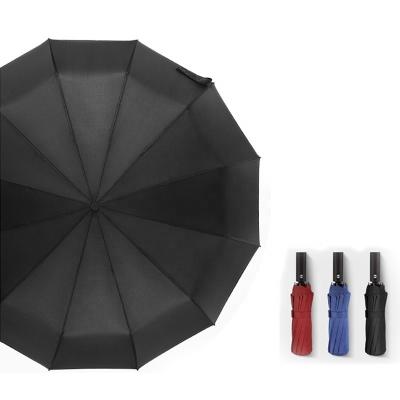 China Customized 12K 23inch Adults Fold Umbrella with Customized Car Design and UV Coating for sale