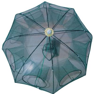 China Multi-Gauge Folding Fish Cage Umbrella Net for Shrimp Cage from Plastic/Metal by Net for sale