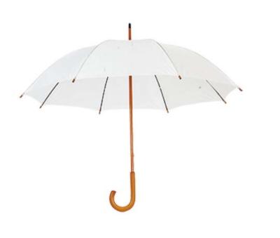 China Customized Color Umbrellas in Spain with Long Fiberglass Frame and Wooden Handle for sale