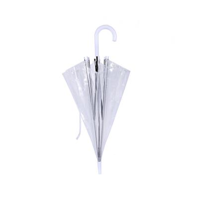 China Plastic Umbrella Product Auto Open Parapluie Custom Straight POE Clear Umbrella for sale