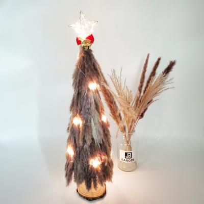 China Chirstmas Decor Small Christmas Trees 100% Original Plant Real Handmade Natural Home Decoration Pampas Grass Tree Designs for sale