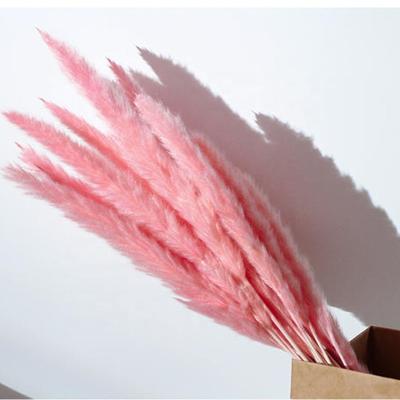 China Amazon Success Artificial Flowers Long Lasting Wedding Supplies Pampas Grass Bouquet Dried Flower Preserved Plants Home Decor for sale