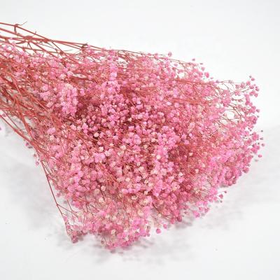 China China Environmentally Friendly Preserved Wholesale Cheap Dry Gypsophila Baby's Breath For Wedding Party Decoration for sale