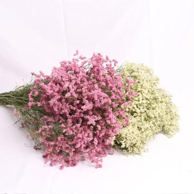 China Events Decoration Dried Flowers Plants Crystal Grass Home Decor Flower Arrangement DIY Natural Real Material for sale