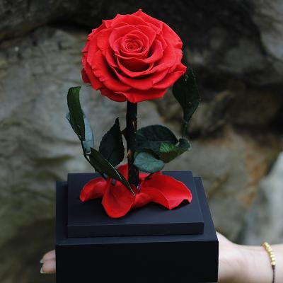 China Wedding Decoration Preserved Forever Roses Flowers Eternal Rose Christmas Valentine Bag Halloween Customize Chinese Birthday Easter Mother for sale