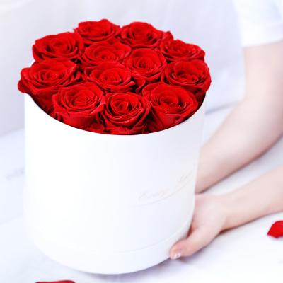 China Real Rose New Product Preserved Romantic 12 Pcs Preserve Rose In Gift Box Natural Immortal Rose Christmas Valentine Gift Dried Flower Preserved Flower for sale