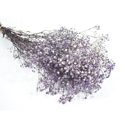 China Environmental Friendly Natural Home Decor Preserved Flower Touch True Dry Gypsophila Paniculata Decoration Flower Wedding for sale