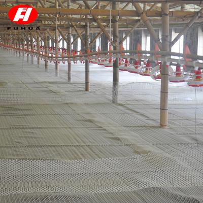 China Poultry Farm Chicken Feed Manufacture Chicken Drinker Cups New China Feed Line Poultry Factory Price Automatic Brand for sale