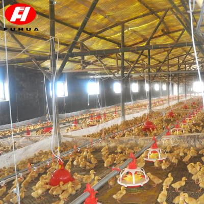 China Poultry Farm Chicken Feeding Low MOQ Chicken Farm Equipment Building With Trade Assurance for sale