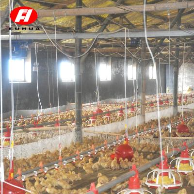 China Farms Poultry Equipment for sale